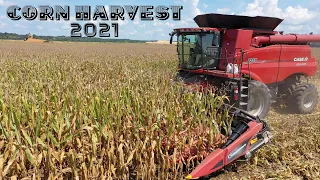 AND SO IT BEGINS - CORN HARVEST 2021