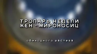 ТРОПАРЬ НЕДЕЛИ ЖЕН - МИРОНОСИЦ • ОБИХОДНЫЙ НАПЕВ • АЛЕКСЕЙ КЛЕПЦИН • МУЖСКОЙ ХОР ANIMAMEA