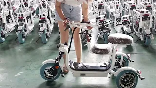 Folding Electric Scooter With 3 Wheels