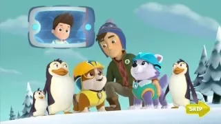 Щенячий патруль Снежная лавина, Paw Patrol Snow Slide