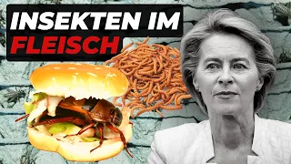 EU-Ekelgesetz: Bald Insekten in unserem Fleisch? Was uns erwartet und was dahinter steckt!