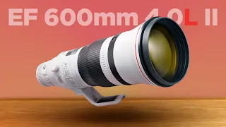 The Canon EF 600mm F/4.0L IS II USM Lens In-Depth Review
