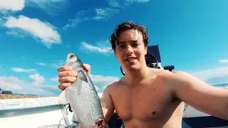 CATCH MY OWN FOOD - Surviving off the Ocean! Squid Jigging, Spearfishing & Cooking!