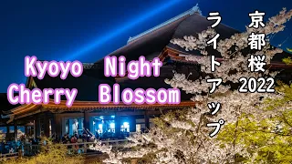 京都桜ライトアップ2022　清水寺・知恩院・円山公園　Kyoto　Japan　Night　Cherry　Blossom