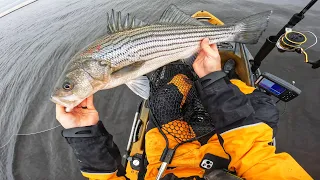 Top 5 Spring Striped Bass Lures (On Water Footage)