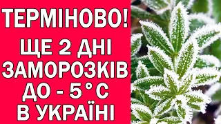 ЩЕ 2 ДНІ ЗАМОРОЗКІВ ВНОЧІ В УКРАЇНІ : ЯКІ ОБЛАСТІ?