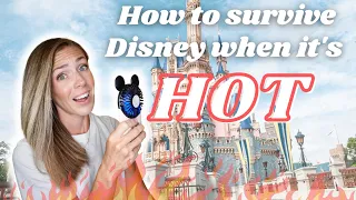 Disney World Tips for the Summer HEAT | How to Survive Disney When It's HOT