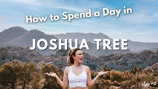 How to Spend a Day in JOSHUA TREE NATIONAL PARK!