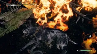 Far Cry 5 Boomer vs Eden‘s Gate Heavy Flamer