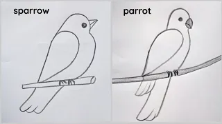 how to draw sparrow and parrot drawing easy step by step@Kids Drawing Talent