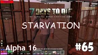 7 Days to Die (Alpha 16 + Starvation) #65 - Солнечные панели и механик