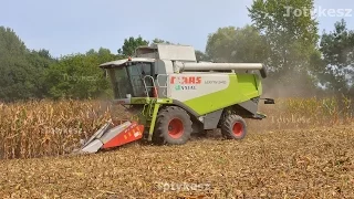 Claas Lexion 540 Kukorica Aratás 2016