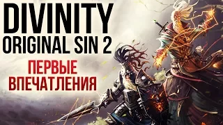 Divinity: Original Sin 2 - Впечатления от 40 часов игры - Претендент на игру года