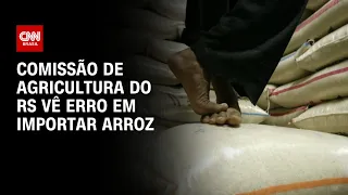 Comissão de agricultura do RS vê erro em importar arroz | CNN ARENA