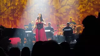 Evanescence - Lost In Paradise (Synthesis Live Tour)