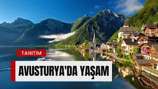 Avusturya'da Yaşamanın Avantajları ve Dezavantajları | Doğal Güzellikler, Yaşam Kalitesi, Mimarisi!