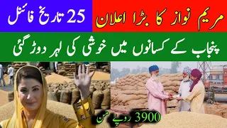 wheat price in punjab 2024 gundam/gandam rate today/wheat price today in punjab/2024