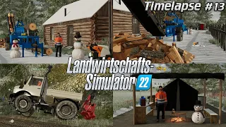 BAU eines NEUEN BLOCKHAUSES! 🌲🏡🤩 FEUERHOLZ machen mit @TheCamPeRYT? 🤔🚜💨 | [LS22] - Timelapse #13