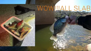 Isabella Lake CRAPPIE FISHING THEY 🔥🔥🔥