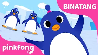 Tarian Penguin | Lagu Binatang & Hewan | Lagu Anak Bahasa Indonesia | Pinkfong dan Baby Shark