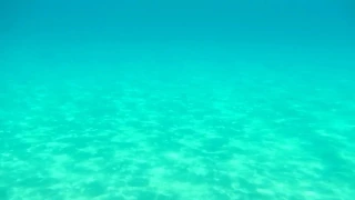 [10 Hours] At the Beach Underwater - Video & Soundscape [1080HD] SlowTV