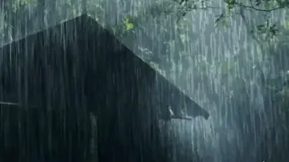 The Most Relaxing Rainfall sounds Calming sounds For  Study, Sleep, and Concentration.