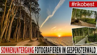 Sonnenuntergang richtig fotografieren im Gespensterwald - Fotowalk an der Ostseeküste bei Nienhagen