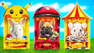 Einfarbige Haus-Challenge für Haustiere! Ladybug vs Pomni vs Pokemon