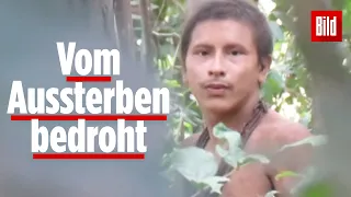 Isoliertes Indianer-Volk im Amazonas-Gebiet gefilmt!