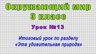 Окружающий мир 3 класс (Урок№13 - Итоговый урок по разделу «Эта удивительная природа»)