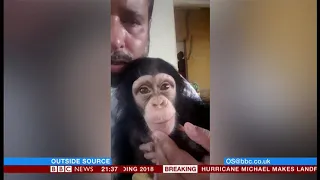 Baby chimp smuggling ring broken (Nepal) - BBC News - 10th October 2018