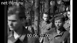 Союзкиножурнал 1943 № 62 Брянский фронт