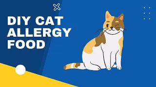 DIY Cat Allergy Food