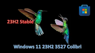 Обзор Win 11 Colibri 23H2