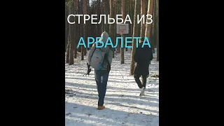 СТРЕЛЬБА С АРБАЛЕТА #shorts