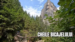 Wild Romania: Cheile Bicajelului, Neamt