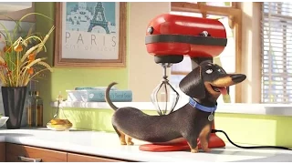 тайная жизнь домашних животных/The Secret Life of Pets