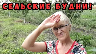 Сельская жизнь!Сажаю чеснок и лук!Готовлю вкусные салаты из свёклы!