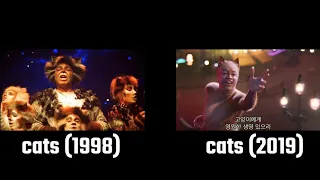 cats comparison