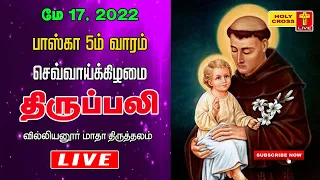 17 May 2022 Tamil Mass | Villianur Lourdes Shrine | Holy Cross Tv | Daily Tv Mass | Today Tv Mass