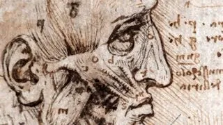 Leonardo: Anatomist - by Nature Video