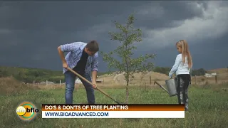 DO'S AND DON'TS OF TREE PLANTING