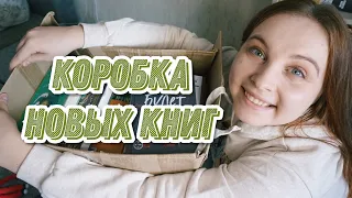 Попала на ликвидацию книжного магазина🤑 // Книжные покупки с огромной скидкой