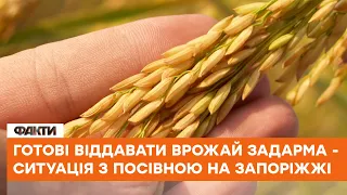 😳Віддають ВРОЖАЙ ЗАДАРМА? Чому на Запоріжжі аграрії роздають ЗЕРНО та яка ситуація з посівною