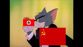 Tom & Jerry WWII MEME