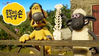 펠리칸 - 시리즈 4 - 숀 더쉽 [Shaun the Sheep] [포함 시즌 6 의 클립]