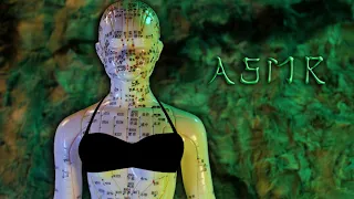 🎧ASMR Fast but Gentle Tapping and Scratching Massage on Acupuncture Doll  / NO TALKING