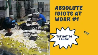 ABSOLUTE IDIOTS AT WORK #1