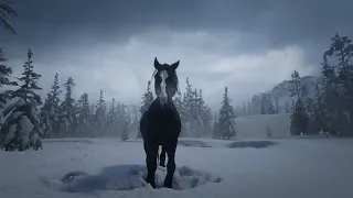 Red Dead Redemption 2 Horse Odyssey
