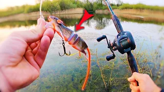 BIG PIKE on a RAT Lure! (Crazy Session!)